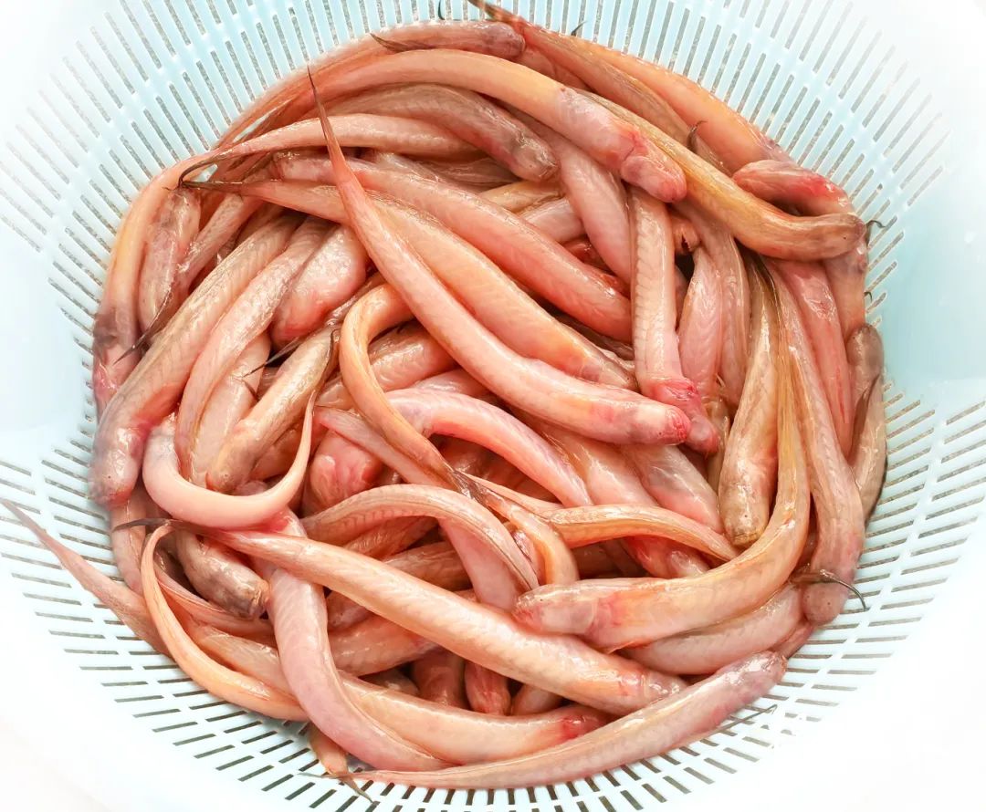 FB体育平台-笚掻(铏惧珎)